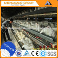 TUV Rheinland chicken poultry cage chicken brooder wire mesh cage automatic broiler chicken cages